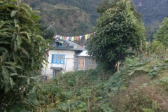 image001