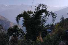 002-WhatsApp-Bild-2023-01-18-um-21.39.30