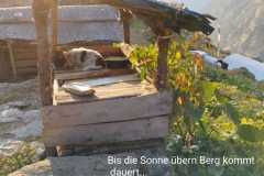 002-WhatsApp-Bild-2023-01-19-um-09.40.42