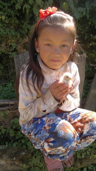 MayaSherpa_002