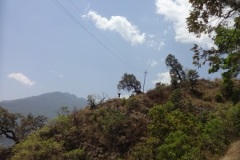 DSC02800